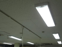 ���t�E��i�Ǘ�