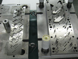 �������^�ʐ^